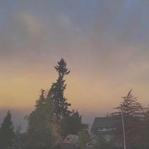 荒野乱斗科莱特同人漫画免费观看
