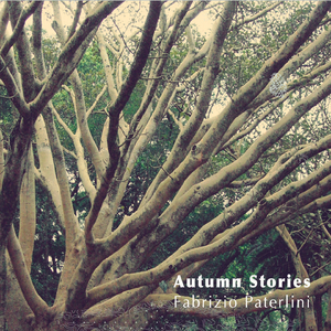 荒野乱斗科莱特同人漫画免费观看
