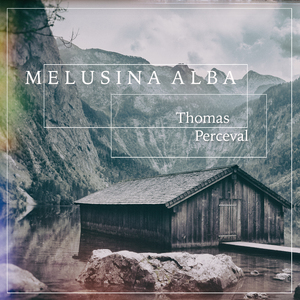 荒野乱斗科莱特同人漫画免费观看
